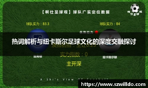 热词解析与纽卡斯尔足球文化的深度交融探讨